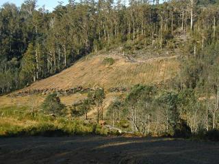 Image
    of downhill ploughing