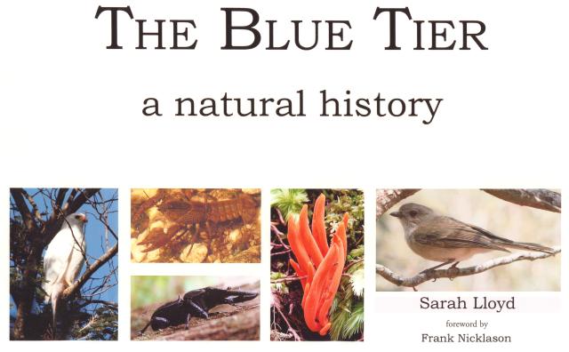 The Blue Tier - front cover