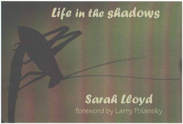 Life in the Shadows - front cover
