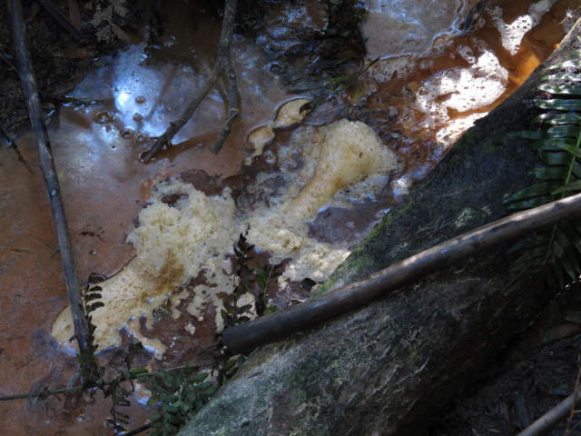 iron precipitates?
